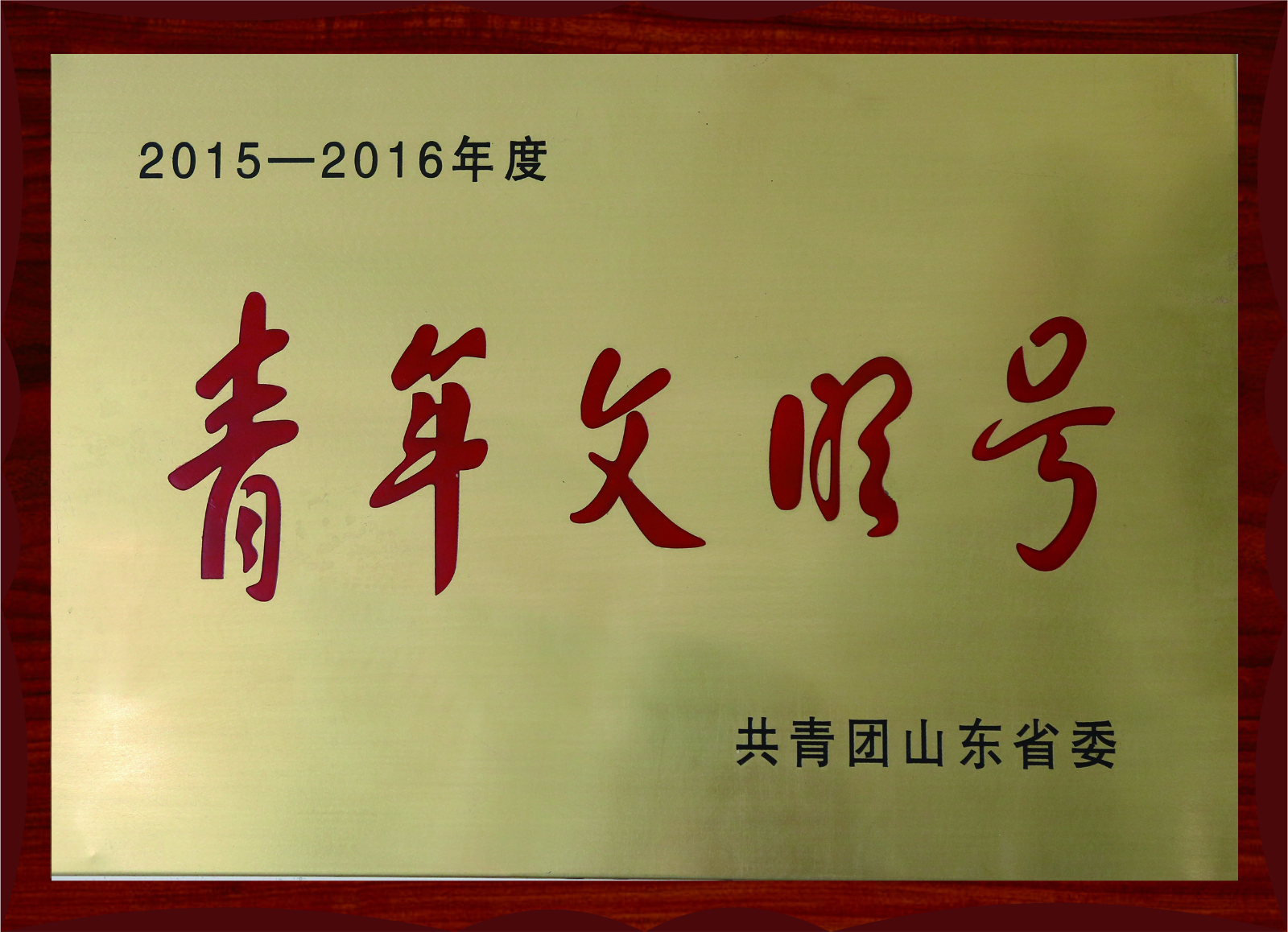 2015-2016年度青年文明號